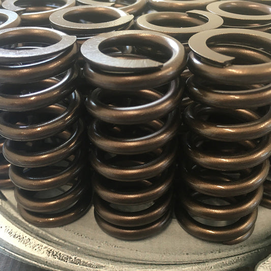 6.0 Powerstroke High Rev Valve Spring Set