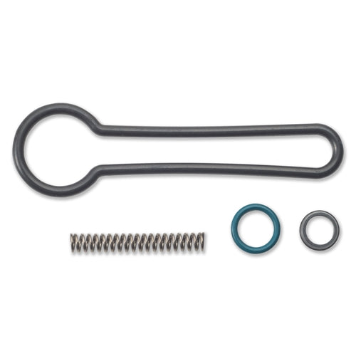 AP0086 Fuel Pressure Regulator Kit "Blue Spring Kit"