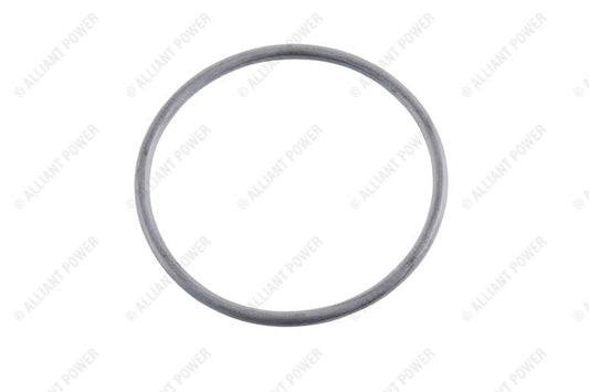 AP0042 Exhaust Gas Recirculation (EGR) Valve O-ring