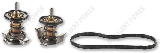 AP63498 Thermostat Kit