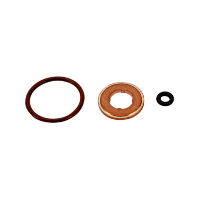 Bosch Fuel Injector O-Ring & Copper Washer Seal Kit F00E200296 2011+ Duramax LML & Power Stroke 6.7L